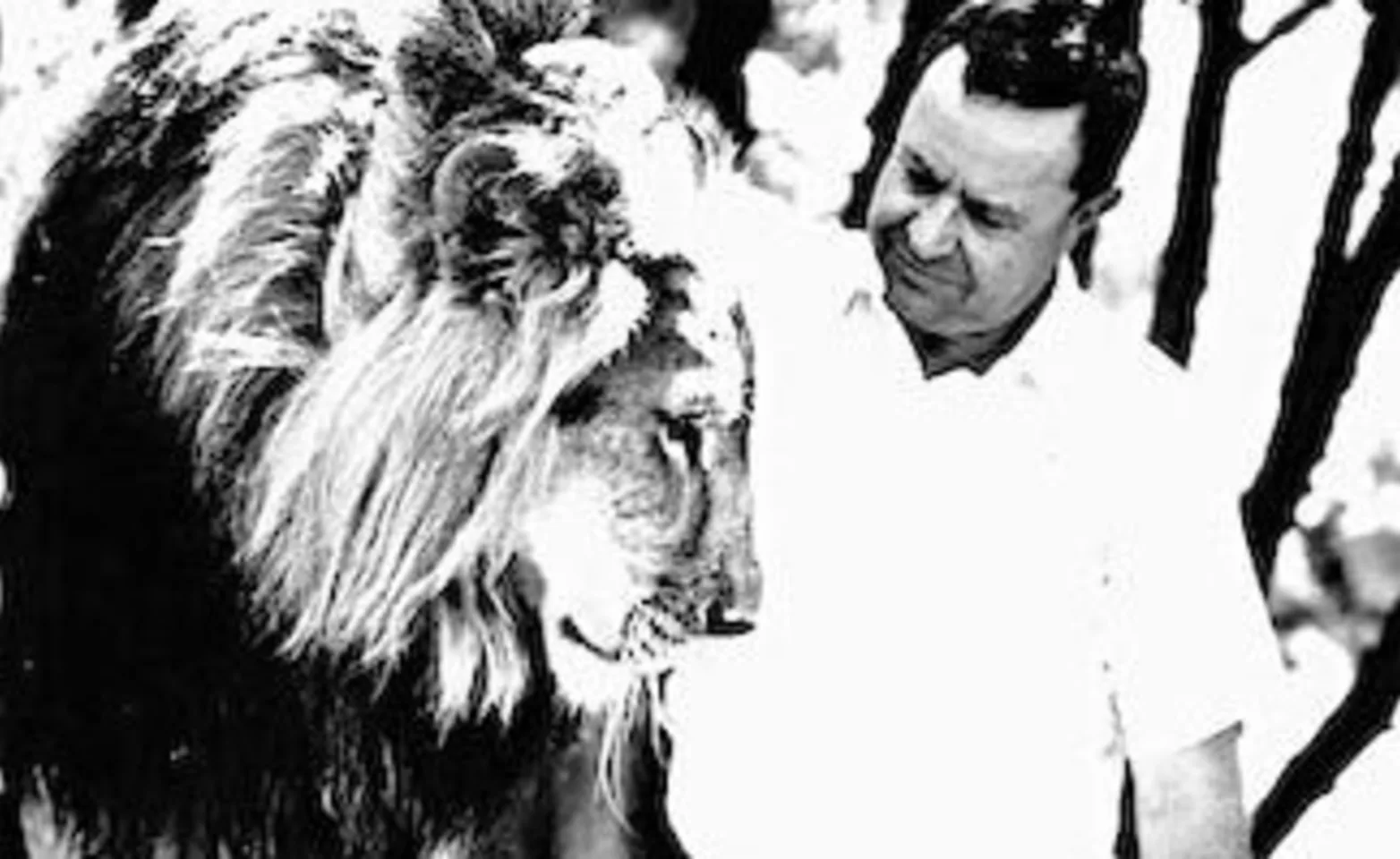 Dr. Robert Miller with a Lion